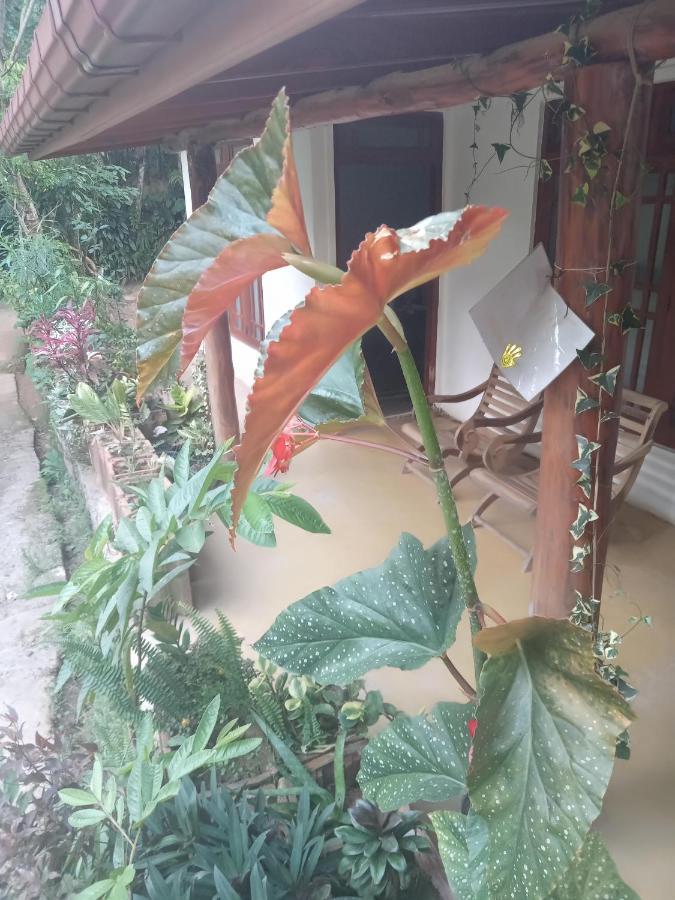 Supipi Homestay Ела Екстериор снимка