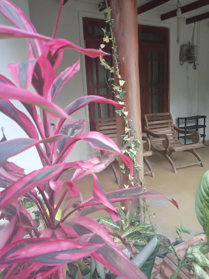 Supipi Homestay Ела Екстериор снимка