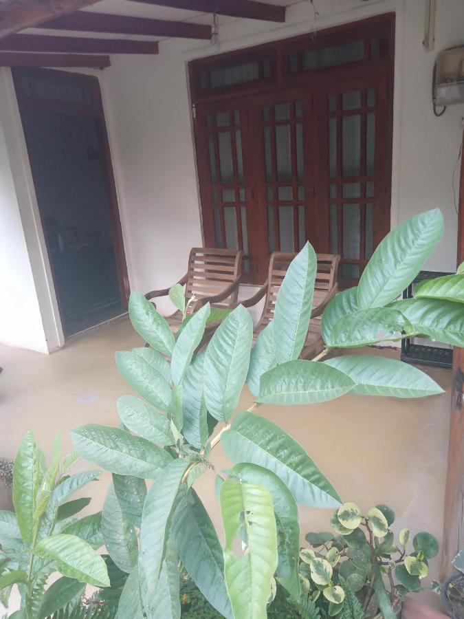 Supipi Homestay Ела Екстериор снимка